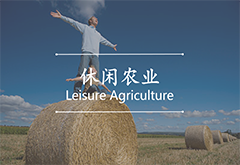 休閑農業
