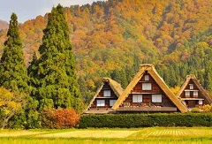 產業研究|“第六產業”您可知？